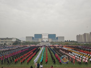 強身健體展風采