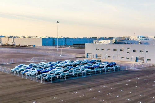 從襄陽(yáng)到全球 長(zhǎng)城汽車(chē)如何借力職業(yè)教育，邁出全球化最堅(jiān)定一步