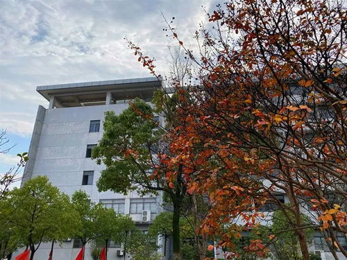 安徽汽車職業技術學院與襄陽汽車職業技術學院2022年報考指導